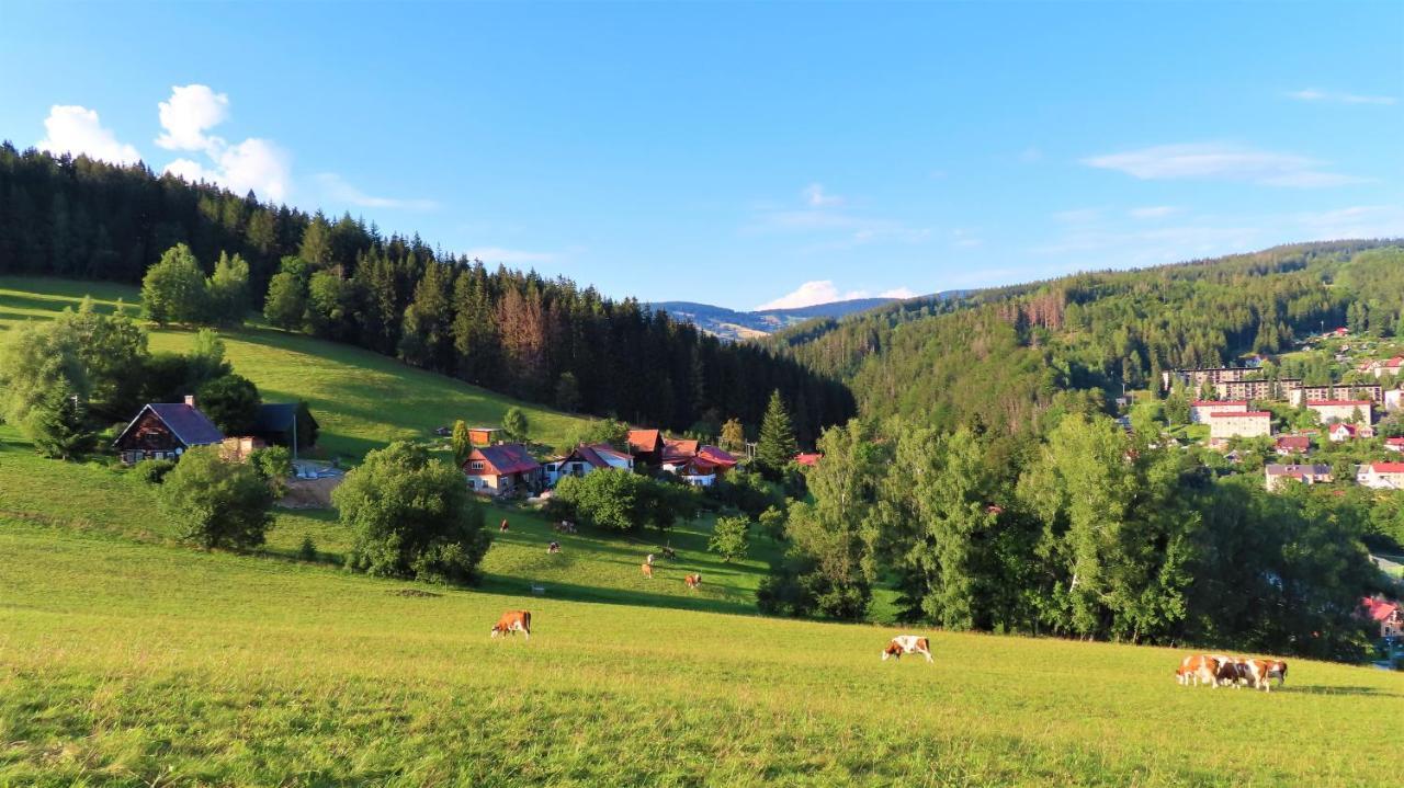 Apartment Votrubcovi Jablonec nad Jizerou