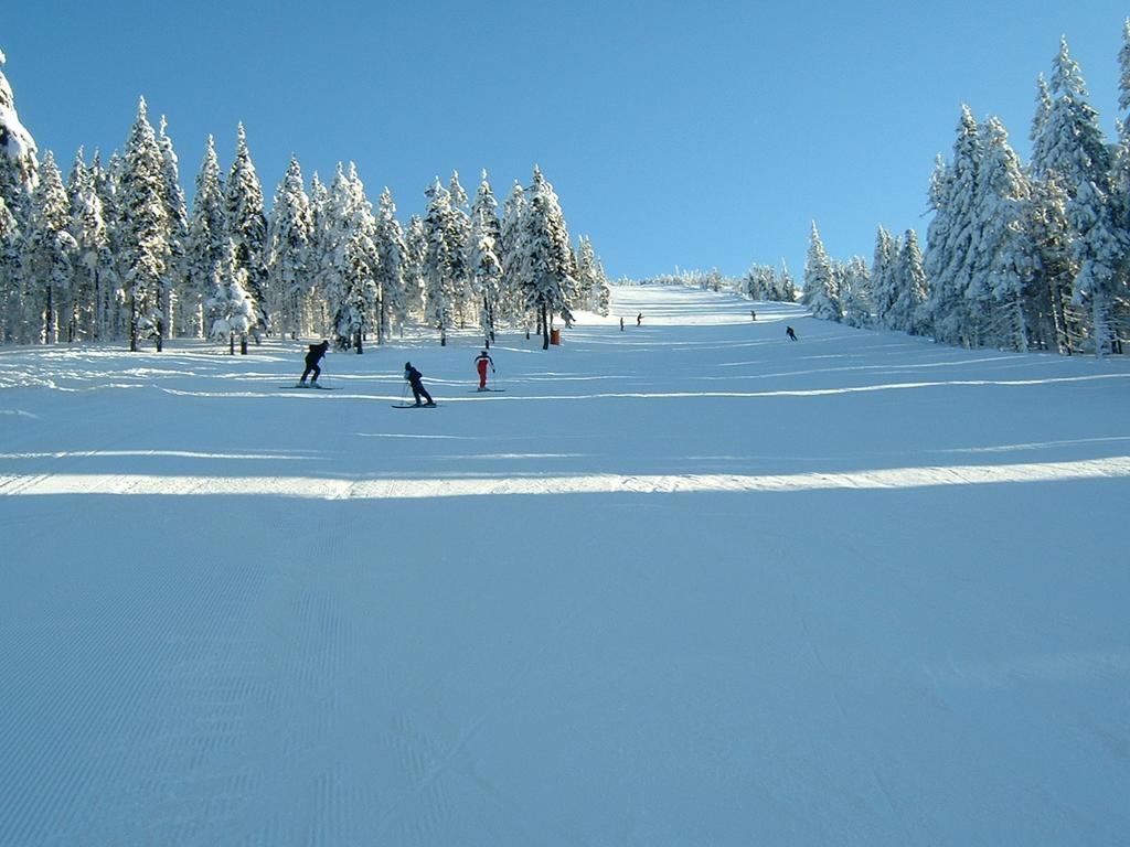 Apartmán Votrubcová